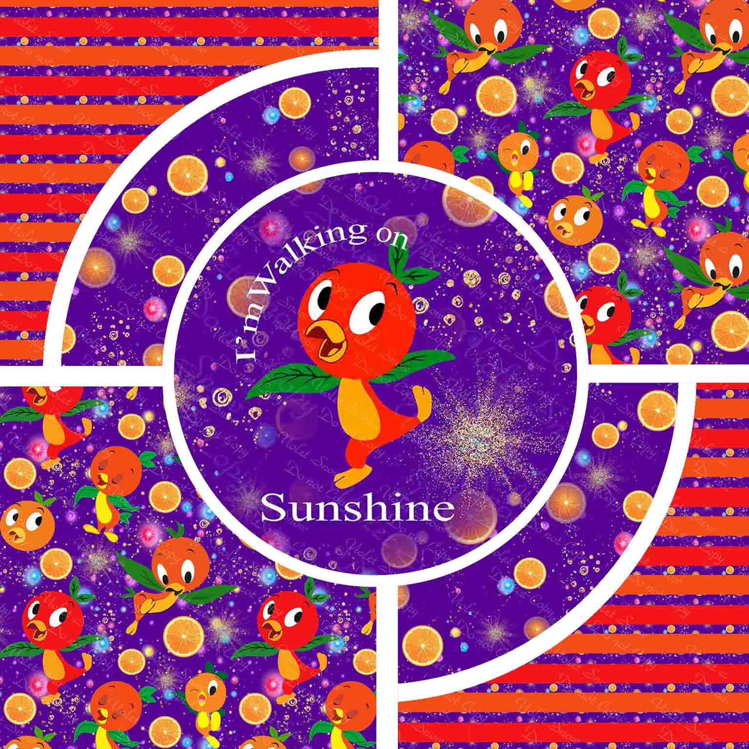 Sunshine Bird